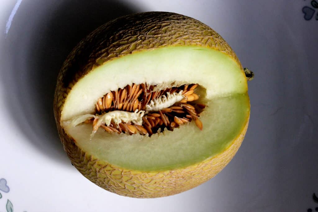 Melone Atena