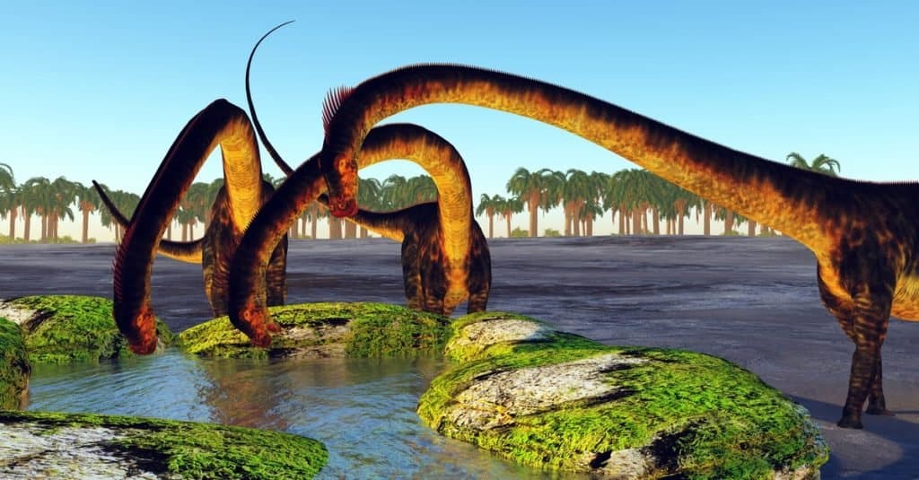 I più grandi dinosauri di sempre: Barosaurus resistente