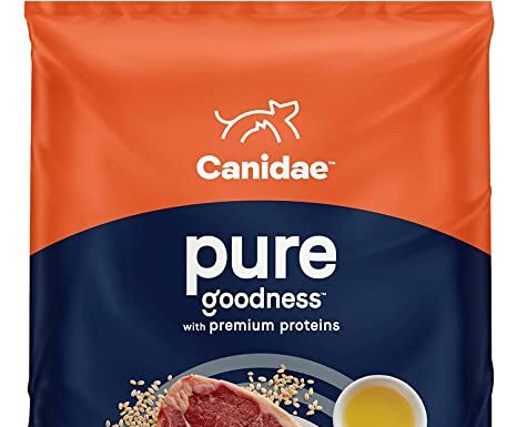 Canidae Pure Limited Ingredient Alimento secco per cani adulti, cereali sani