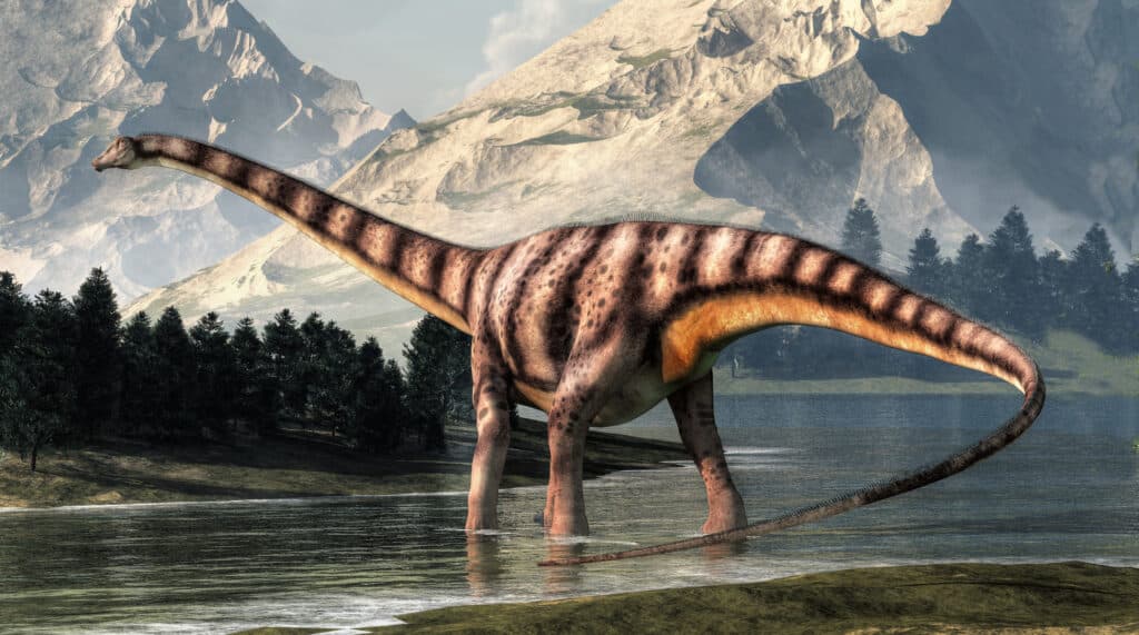 Diplodocus era un dinosauro sauropode che visse in Nord America durante la fine dell'era giurassica