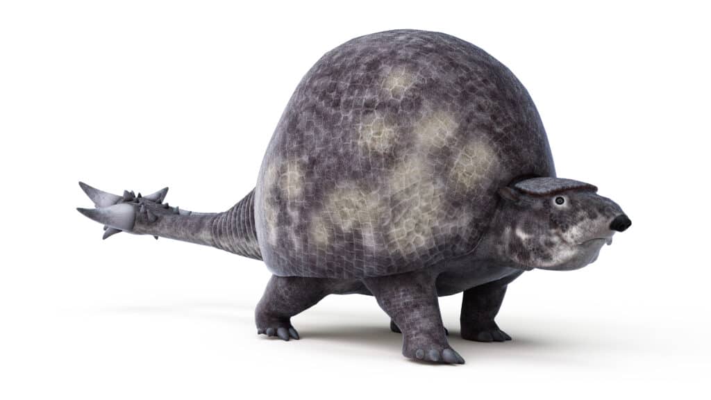 Illustrazione 3D di Doedicurus