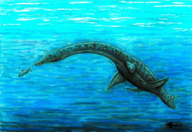 Illustrazione di Serpentisuchops che insegue un pesce sott'acqua