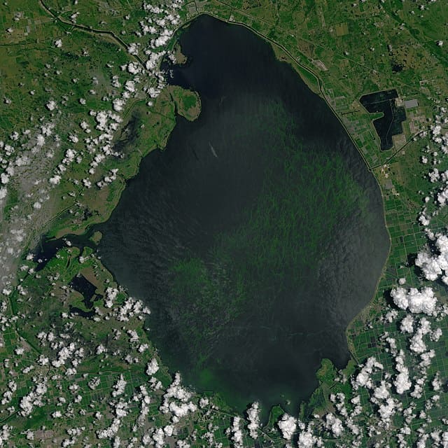 Foto satellitare della NASA del lago Okeechobee pieno di cianobatteri (fioritura di alghe)