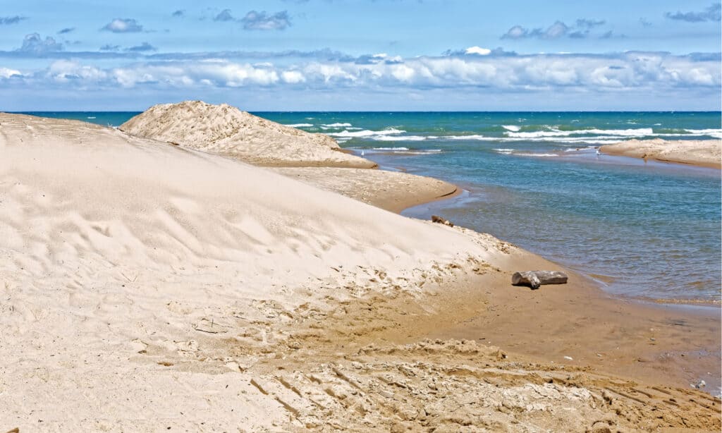Parco nazionale delle dune indiane
