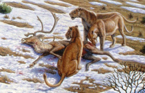Rappresentazione artistica di due leoni delle caverne europei accanto a una renna morta nella neve