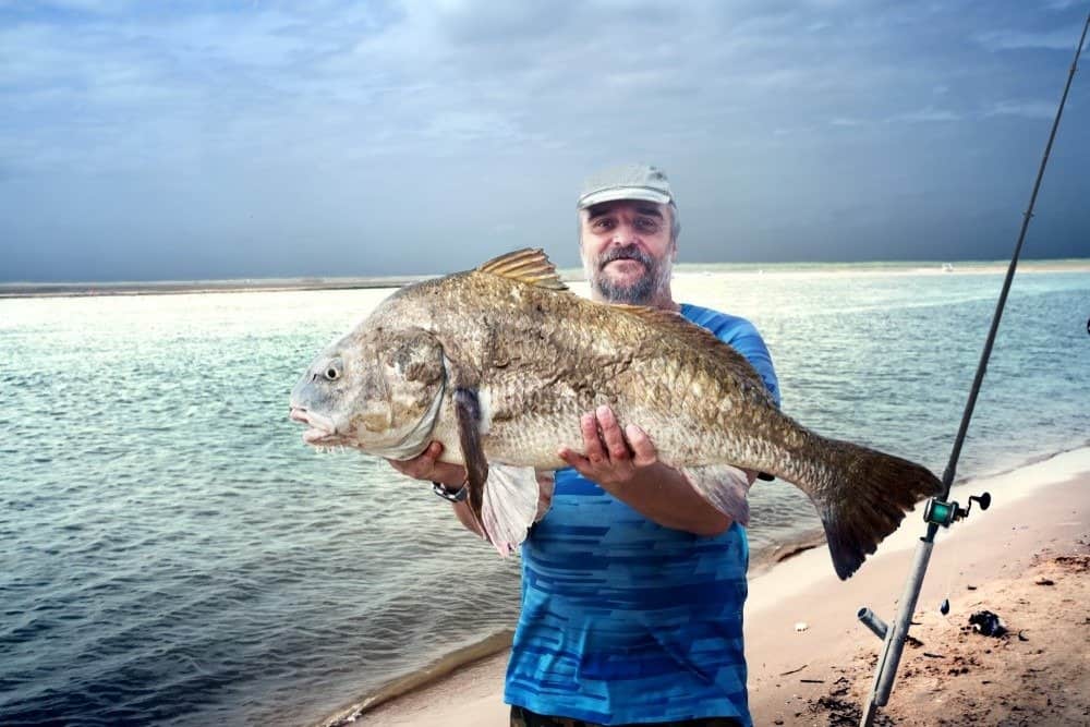 Un pescatore tiene in mano un enorme pesce tamburo nero (Pogonias cromis) contro il mare.  Texas, Golfo del Messico, Stati Uniti