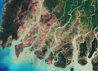 Scoperto: il più grande delta del fiume mai sul pianeta Terra
