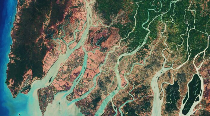 Scoperto: il più grande delta del fiume mai sul pianeta Terra
