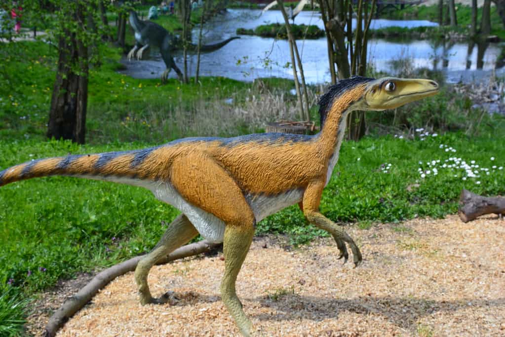 I fossili di Troodon sono stati trovati in tutto il Nord Dakota