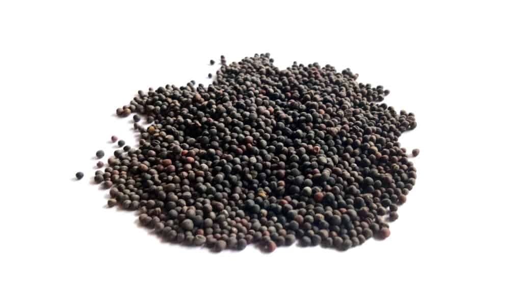 semi di cavolo nero