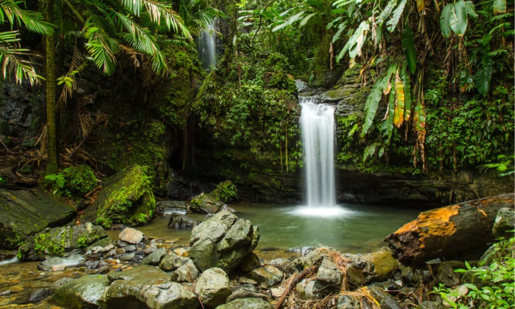 Cascate Juan Diego