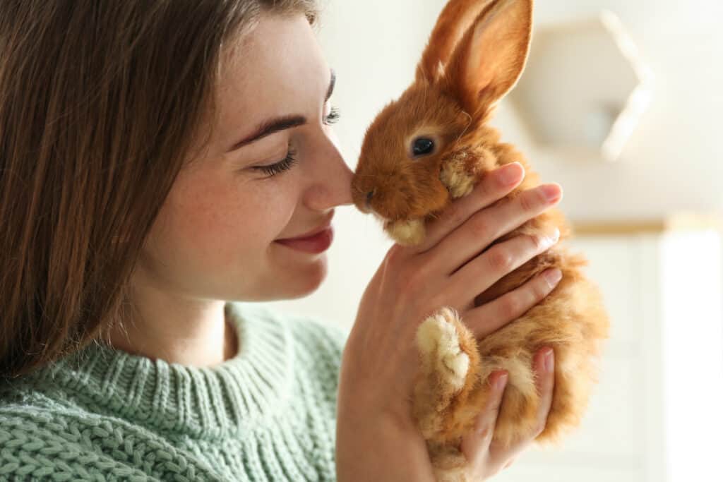 Giovane donna con adorabile coniglio al chiuso, primo piano.  Animale domestico adorabile