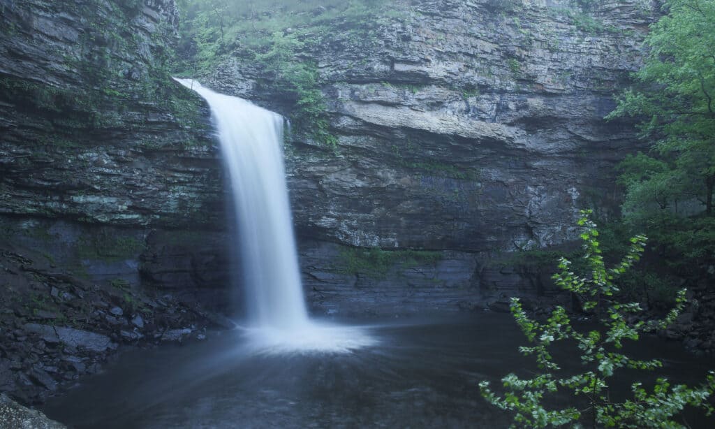 Cascate di cedro