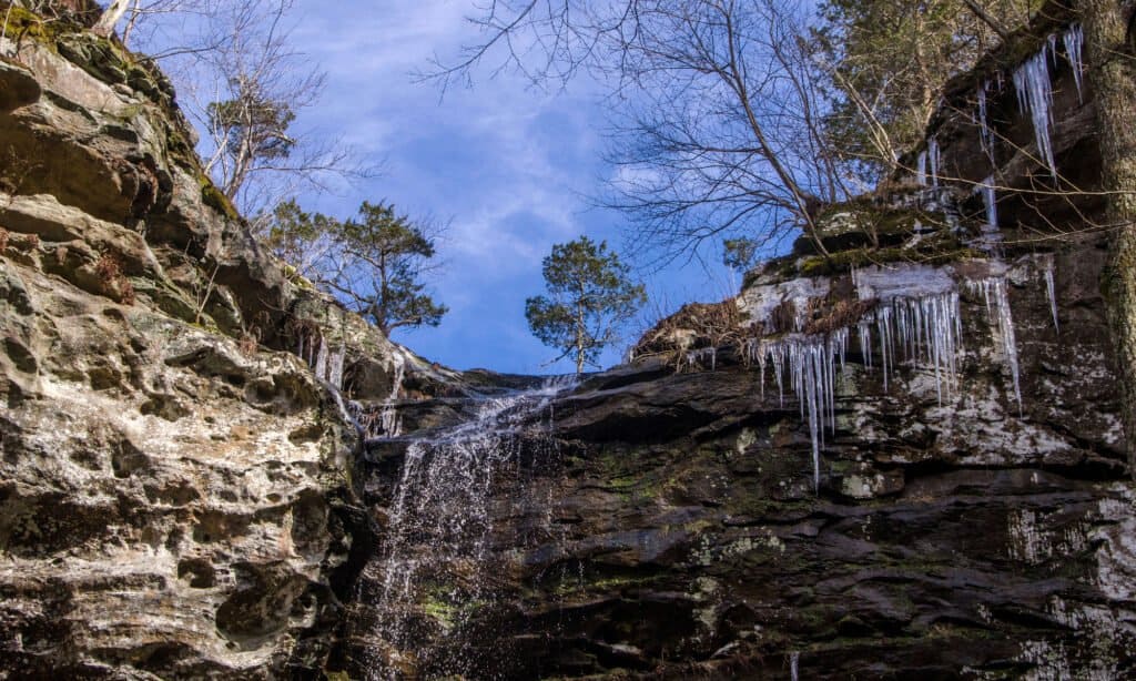 Ferne Clyffe cade nell'Illinois