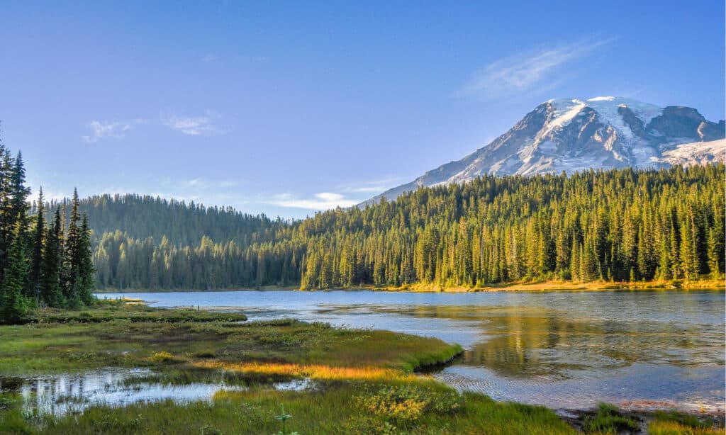 I migliori parchi nazionali da visitare a ottobre - Mount Rainier National Park