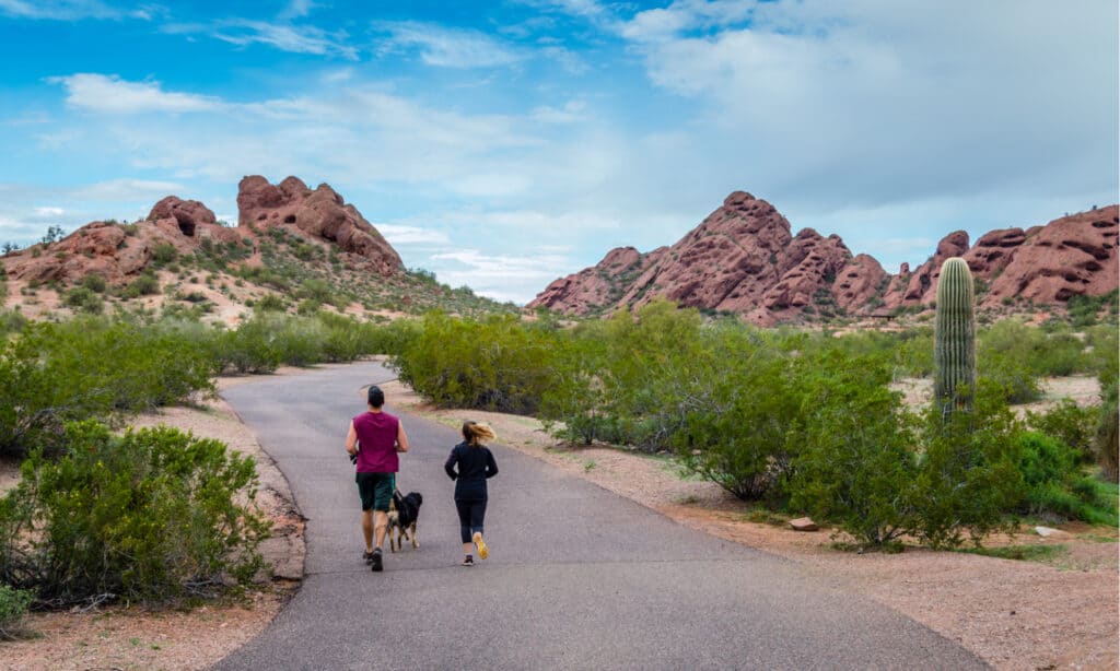 Serie Dog Park - Phoenix Arizona