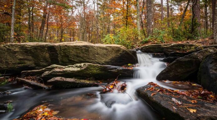 Cheaha Falls Alabama