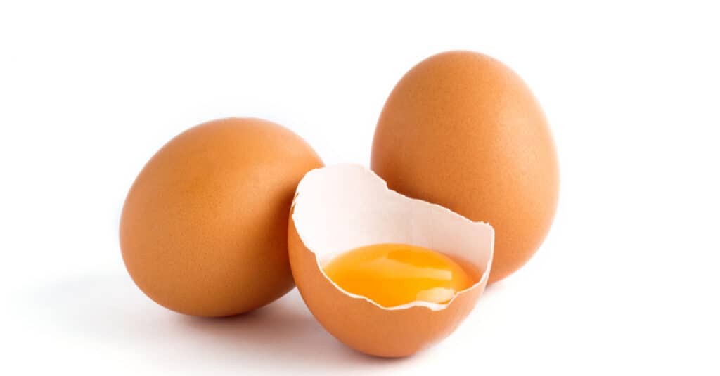Uova di anatra contro uova di gallina: uova di gallina