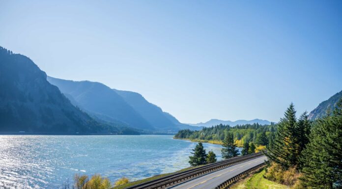 Quanto è largo il fiume Columbia nel suo punto più largo?
