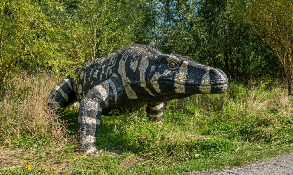 Megalania, che significa 