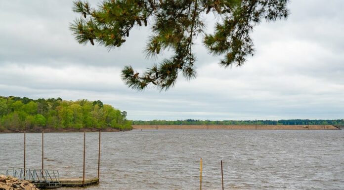 Quanto è profondo il lago O' the Pines in Texas?
