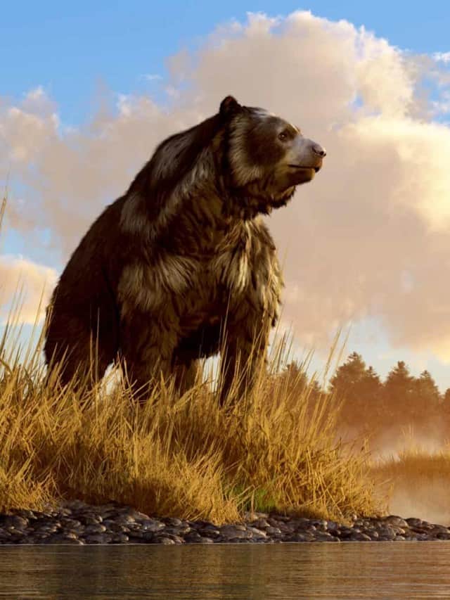 Scopri l'orso da 4.000 libbre che è stata l'immagine di poster più grande di sempre