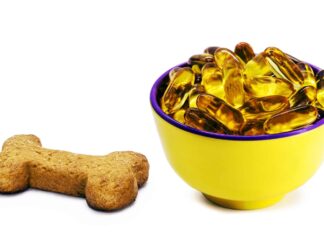 Dosaggio di olio di pesce per cani: quanto è giusto?
