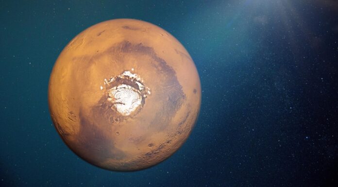 Ecco quanto è davvero calda e fredda la superficie di Marte e cosa potrebbe sopravvivere lì
