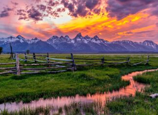 I 6 migliori spot per il birdwatching del Wyoming quest'estate
