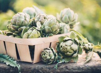  I cani possono mangiare i carciofi?  Quali sono i pericoli?
