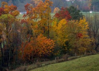 10 grandi montagne escursionistiche in Ohio
