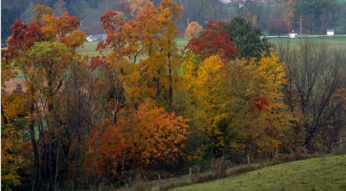 10 grandi montagne escursionistiche in Ohio
