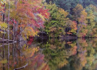 Liberty Reservoir Maryland