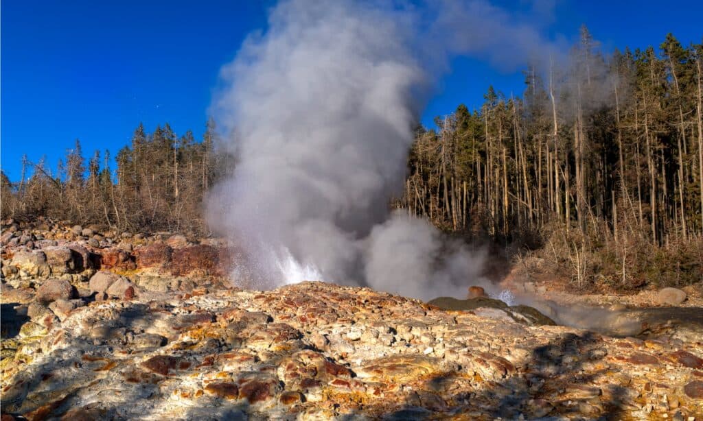 Vulcano di fango di Yellowstone
