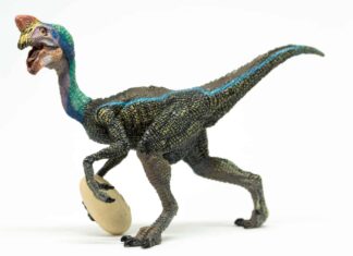 Oviraptor
