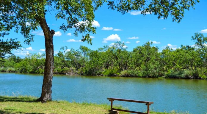 Lake Amistad Texas