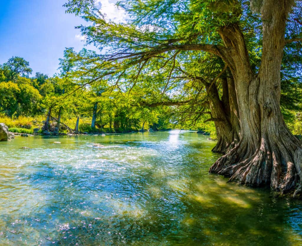 Parco statale del fiume Guadalupe in Texas