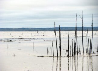 Guntersville Lake Alabama