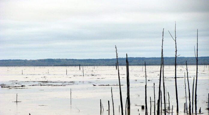 Guntersville Lake Alabama