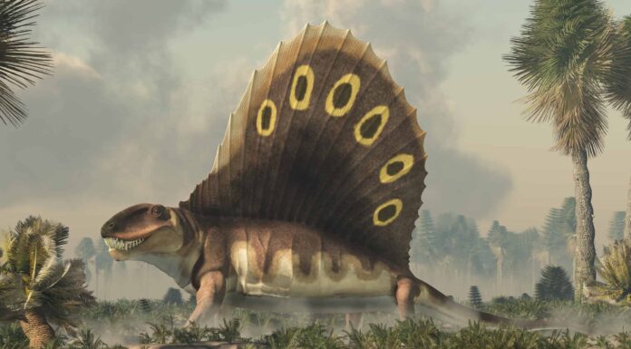 9 enormi animali preistorici che vissero prima dei dinosauri
