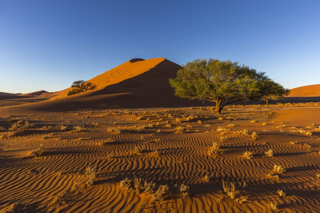 deserto più antico del mondo