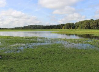 10 montagne in Florida
