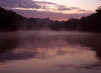 Laghi del Kentucky: 10 laghi dal grande al piccolo
