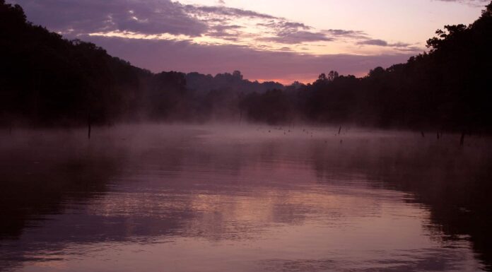 Laghi del Kentucky: 10 laghi dal grande al piccolo
