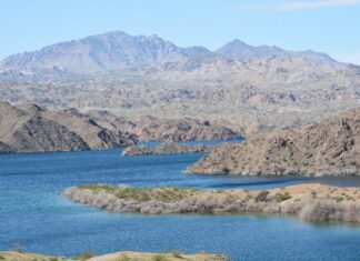 I 10 migliori luoghi di pesca in Arizona quest'estate
