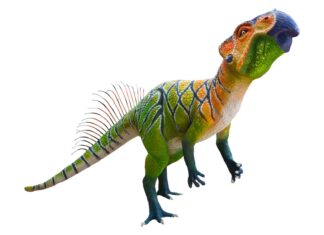 Psittacosauro
