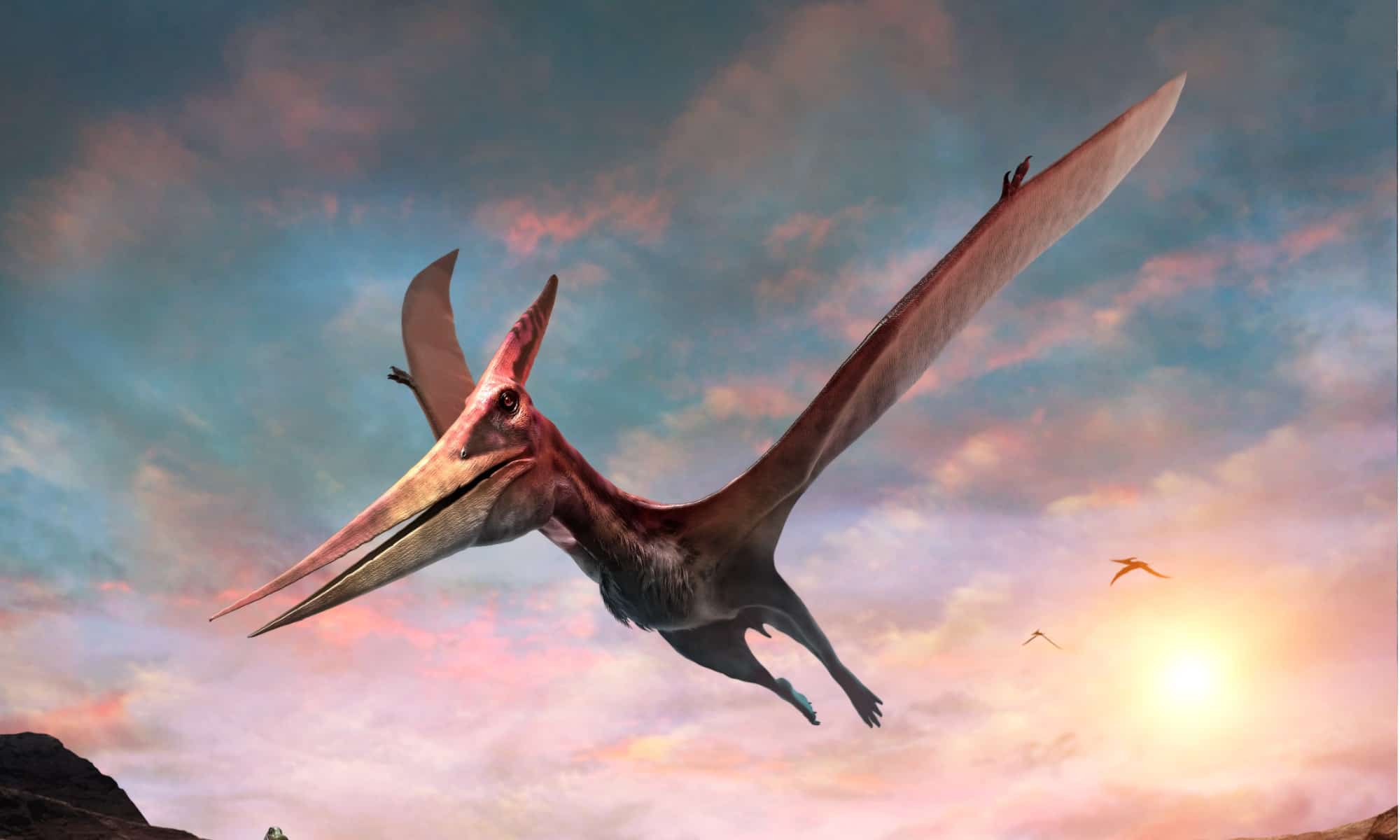 Lo Pteranodonte era uno dei più grandi rettili alati.