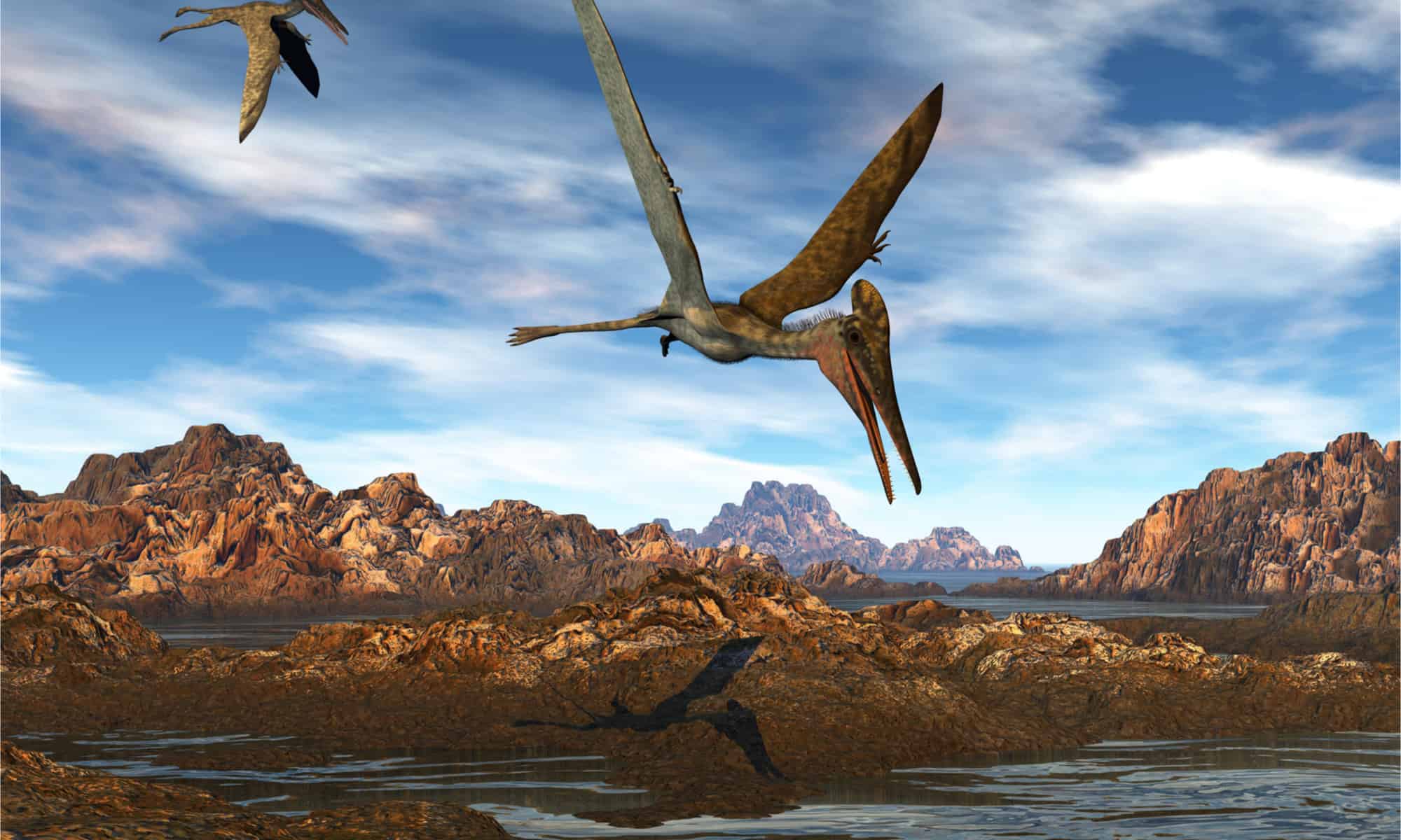 Illustrazione di pterodattili che volano sopra l'acqua