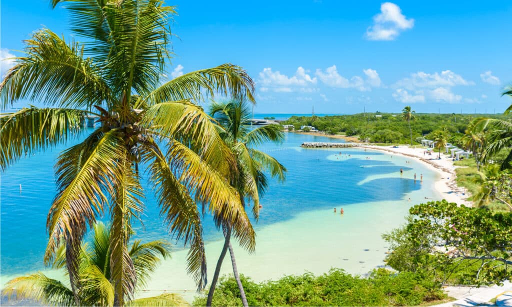 Parco statale Bahia Honda