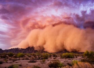 Tempeste di polvere in Texas: dove accadono di più
